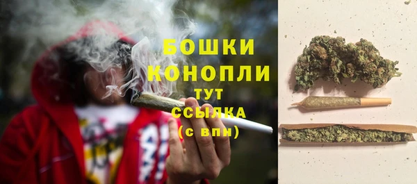 трава Армянск
