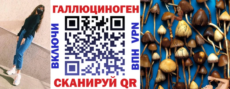 купить наркотики цена  Ртищево  blacksprut маркетплейс  Галлюциногенные грибы мицелий 