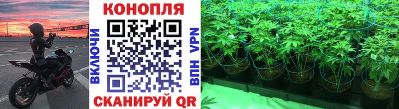 Марихуана ГИДРОПОН Ртищево